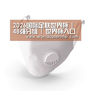 N95 口罩