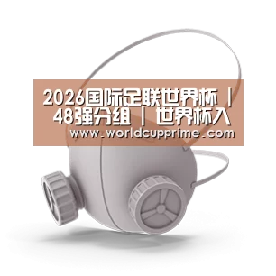 N95 口罩