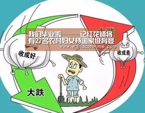 举办城市