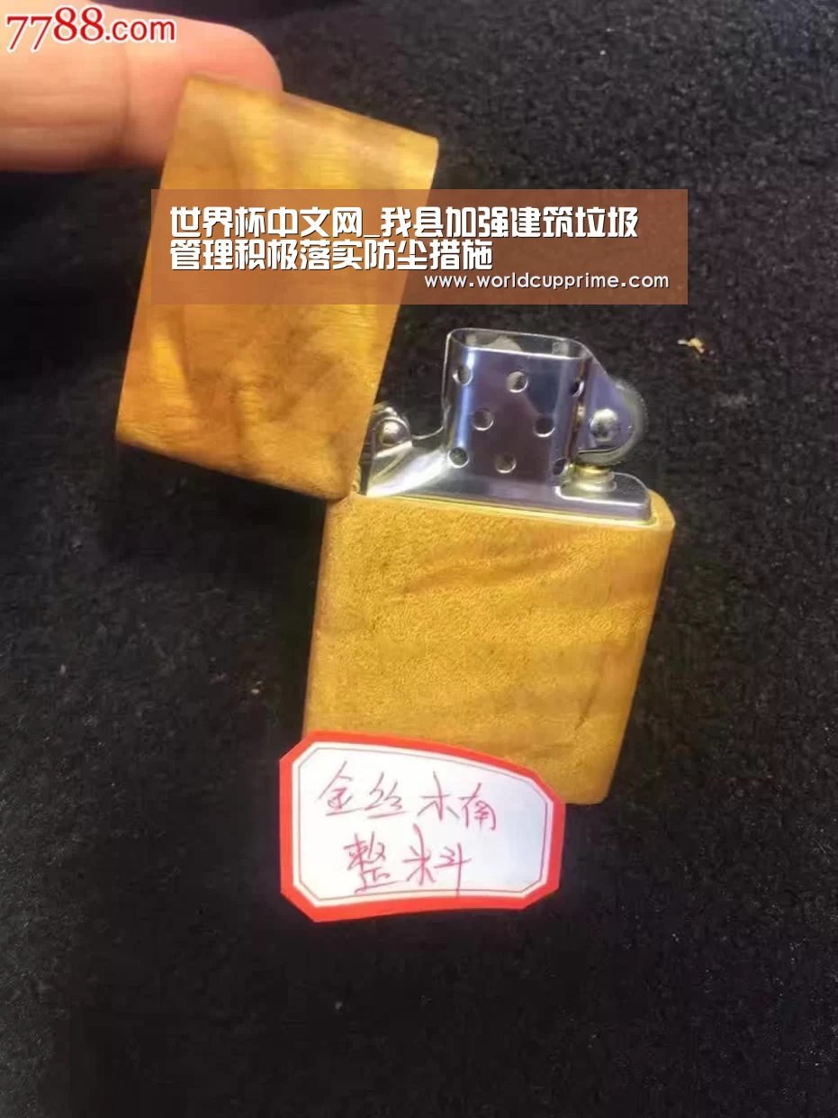 世界杯中文网_我县加强建筑垃圾管理积极落实防尘措施(图3) 举办城市