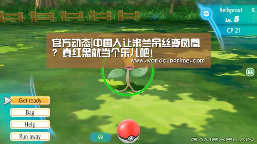 举办城市