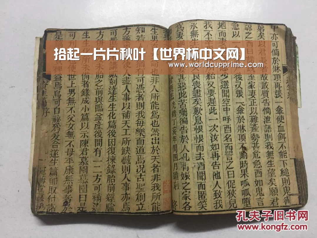拾起一片片秋叶【世界杯中文网】(图1) 官方动态