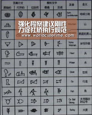 强化检察建议刚性 力促社矫执行规范-举办城市(图1) 世界杯中文网