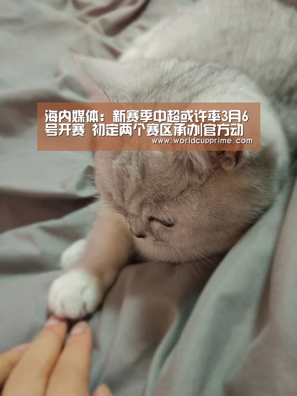 世界杯中文网
