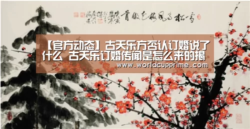 世界杯中文网