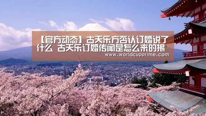官方动态