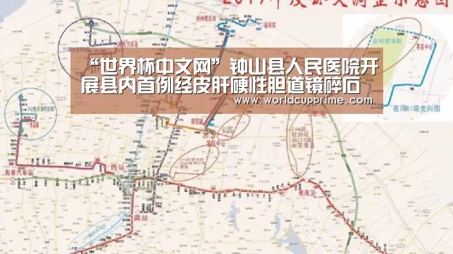 “世界杯中文网”钟山县人民医院开展县内首例经皮肝硬性胆道镜碎石取石术(图1) 举办城市