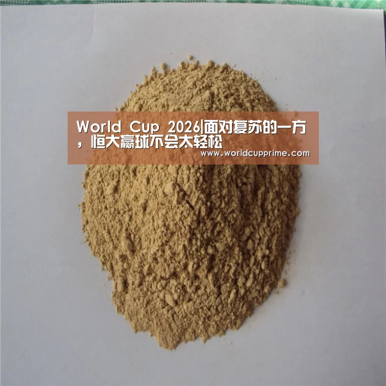 世界杯中文网
