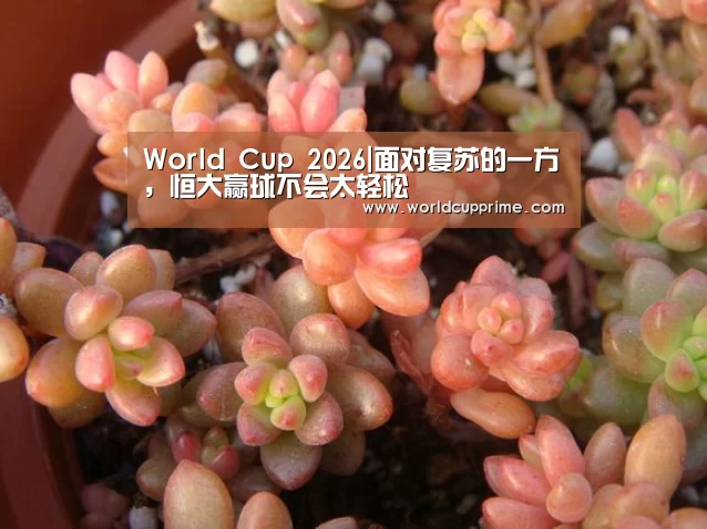 官方动态