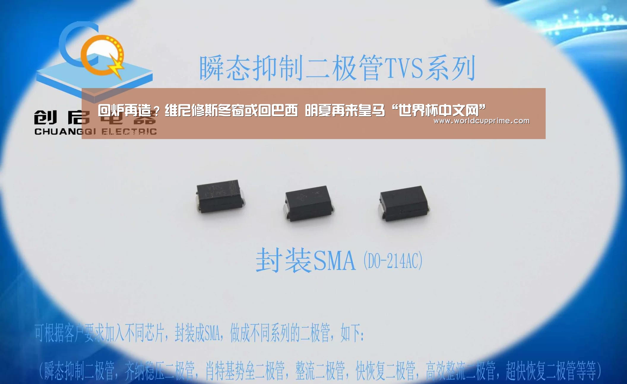 世界杯中文网