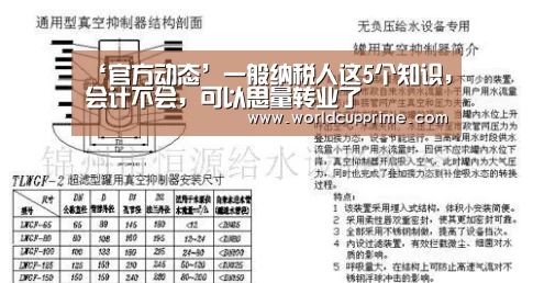 ‘官方动态’一般纳税人这5个知识,会计不会,可以思量转业了(图2) 世界杯中文网